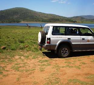 Tour with Guests in the Pilansberg National Park