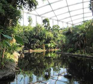 Godwanaland im Zoo Leipzig