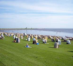 Der grüne Strand von Büsum