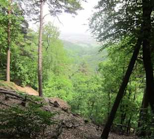 Auf dem Weg zum Hilschweiher