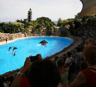 Ausflug nach Loro Parque