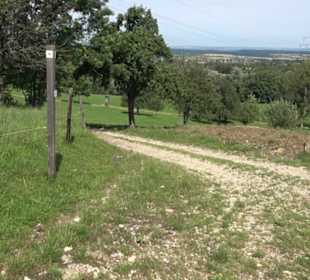 Premiumspazierweg Früchtetrauf-Leisawegle