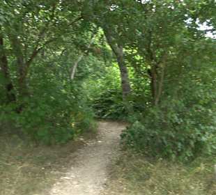 Wandertour Greifensteinrunde