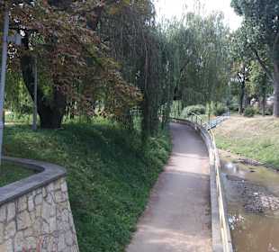 Park miejski