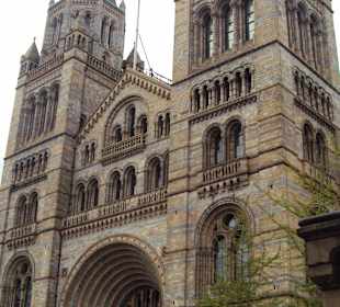 Muzeum Historii Naturalnej