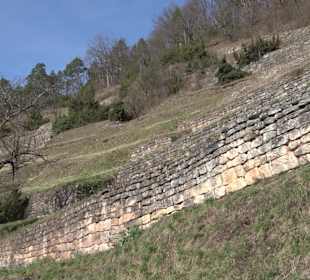 Hirschauer Spitzbergwegle (Premiumspazierwanderweg