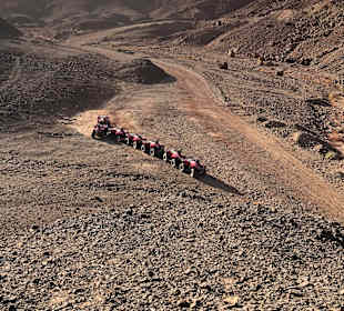 Quad Tour Marsa Alam