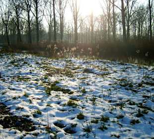 Viel Sonne im November