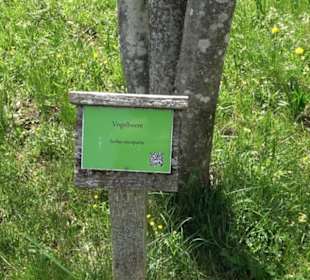 Arboretum