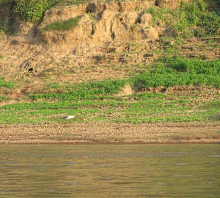 Gärten am Flussufer!