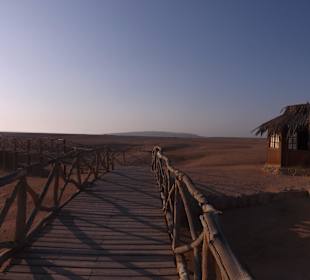 Ausflug auf die Paradies Insel