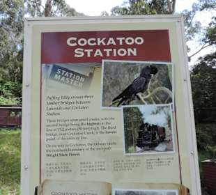 Hier geht es zum Dampfzug Puffing Billy