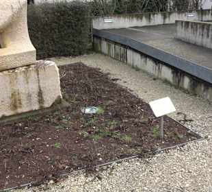 Skulptur Ein Gruß an die Sonne