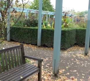 Karl-Foerster-Garten