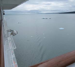 Anfahrt auf den Hubbard Gletscher