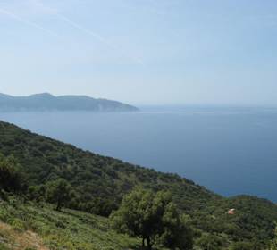 Plaża Myrtos