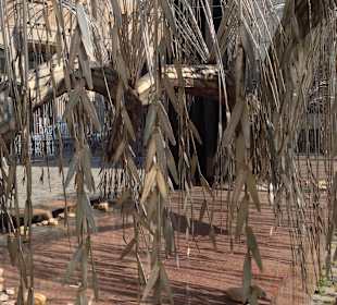 Drzewo Pamięci/Wielka Synagoda