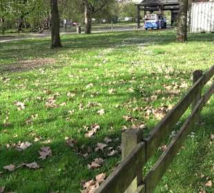 Unterer Schlossgarten Stuttgart