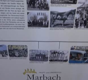 Gestütsmuseum Offenhausen