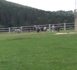 Haupt- und Landgestüt Marbach