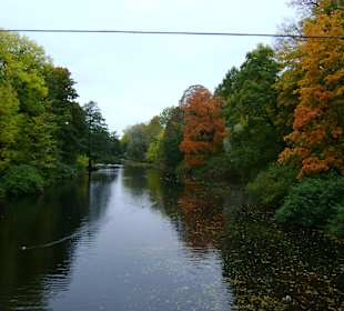 Park Jełagina