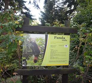 Zoo