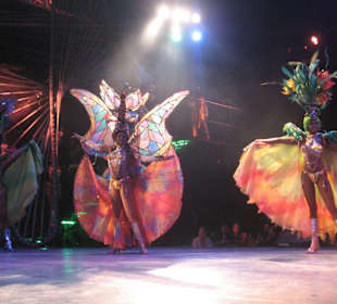 Die schöne Tänzerinen