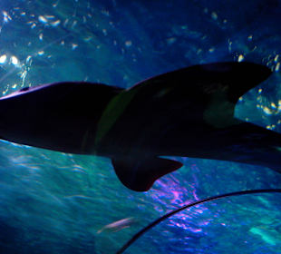 Legoland Deutschland