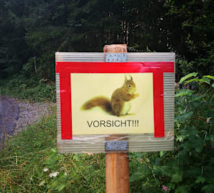Wandern Werfenweng