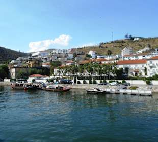 Pinhão