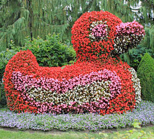 Ente aus Blumen