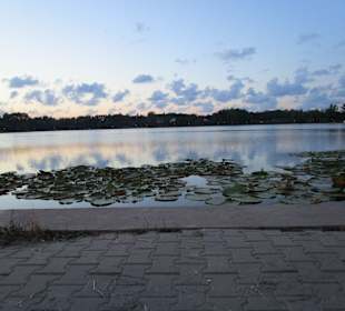 Lacul Neptun I