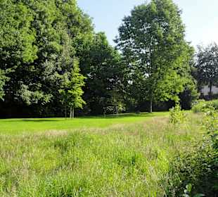 Spaziergang durch den Stadtpark