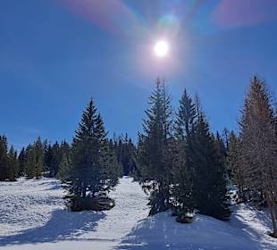 Wandern Mühlbach