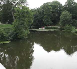 Alter Botanischer Garten