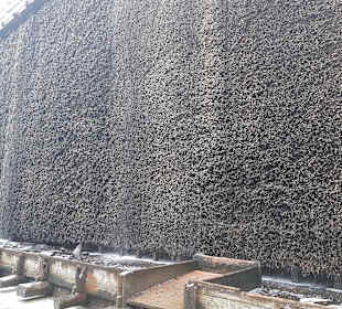 Inhalationsgang im Ortsgang