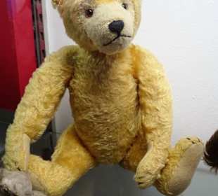 Teddy-Abteilung im Deutschen Spielzeugmuseum