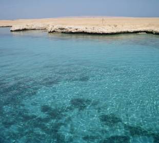 Ausflug Delphine mit Diving Center