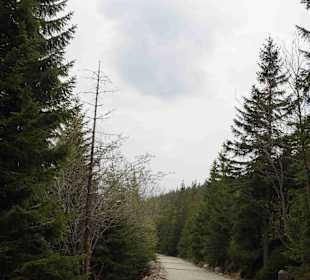 Berg Schneekoppe/Śnieżka