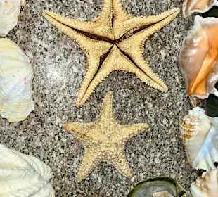 Stadtrundgang Hurghada