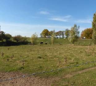 Kurz vor dem Parkplatz