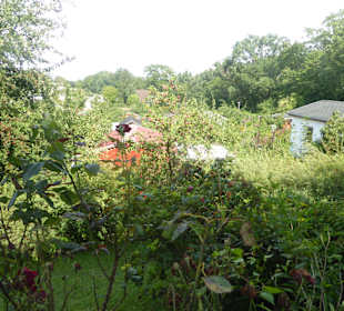 Restaurant Am Pfingstberg