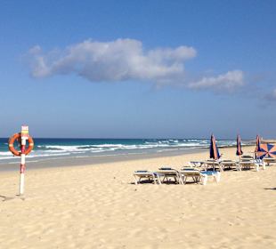 Dünenstrand Corralejo