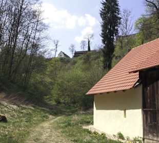Ruine Maisenburg