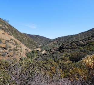 Grün nur wo Wasser ist..