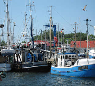 Hafenflair in Burgstaaken auf der Insel Fehmarn