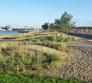 Spaziergang über den Waller Sand