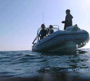 Schnorcheltour mit Speedboot