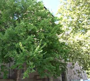 Stauffenberg-Platz