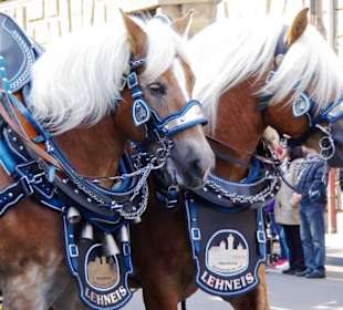 Stadelner Bauerntheater